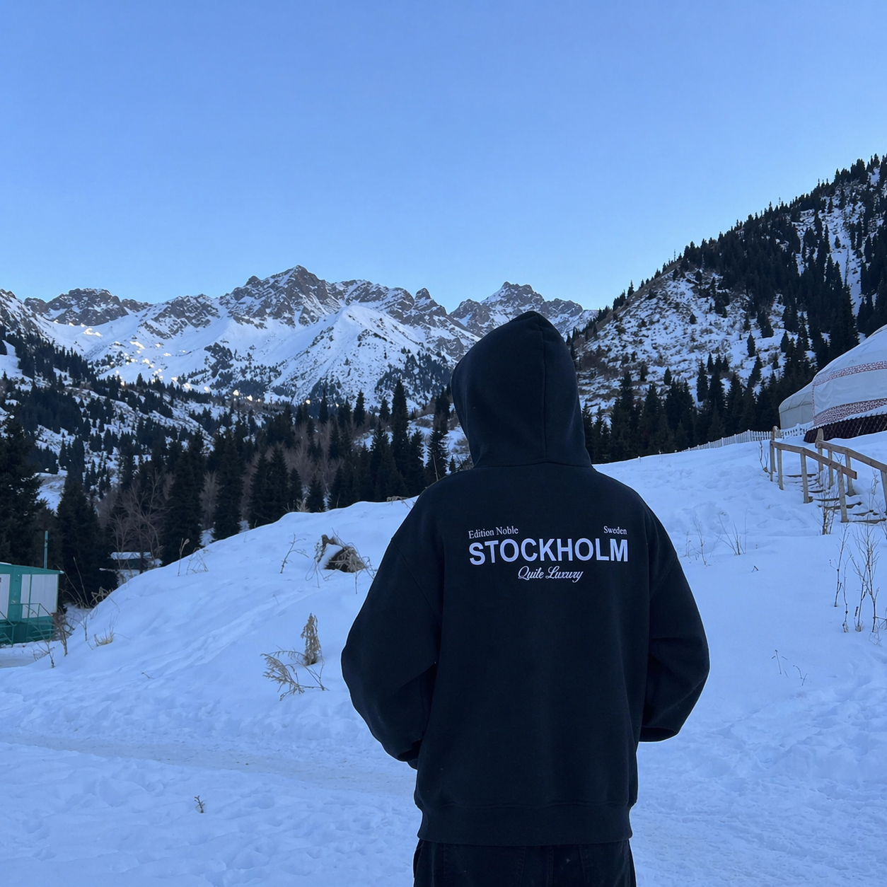 Person wearing a black hoodie with 'Stockholm' text, standing in a snowy landscape with mountains.